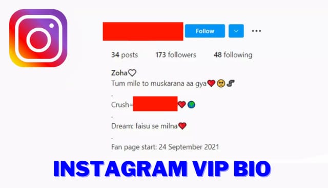 100+ Instagram VIP Bio | Stylish VIP Bio For Instagram For Boys And Girls
